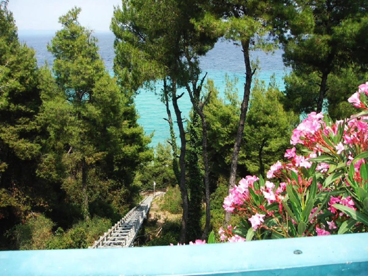 Porto Thea Alexandra Shared Pool Villa, Afytos Bagian luar foto